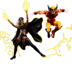 Marvel Legends Series Wolverine and Storm