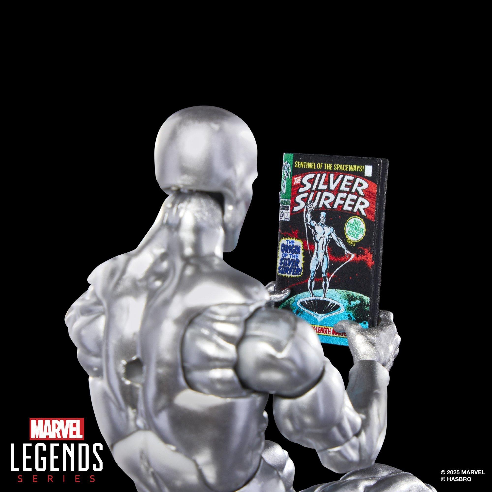 Marvel Legends Series Silver Surfer